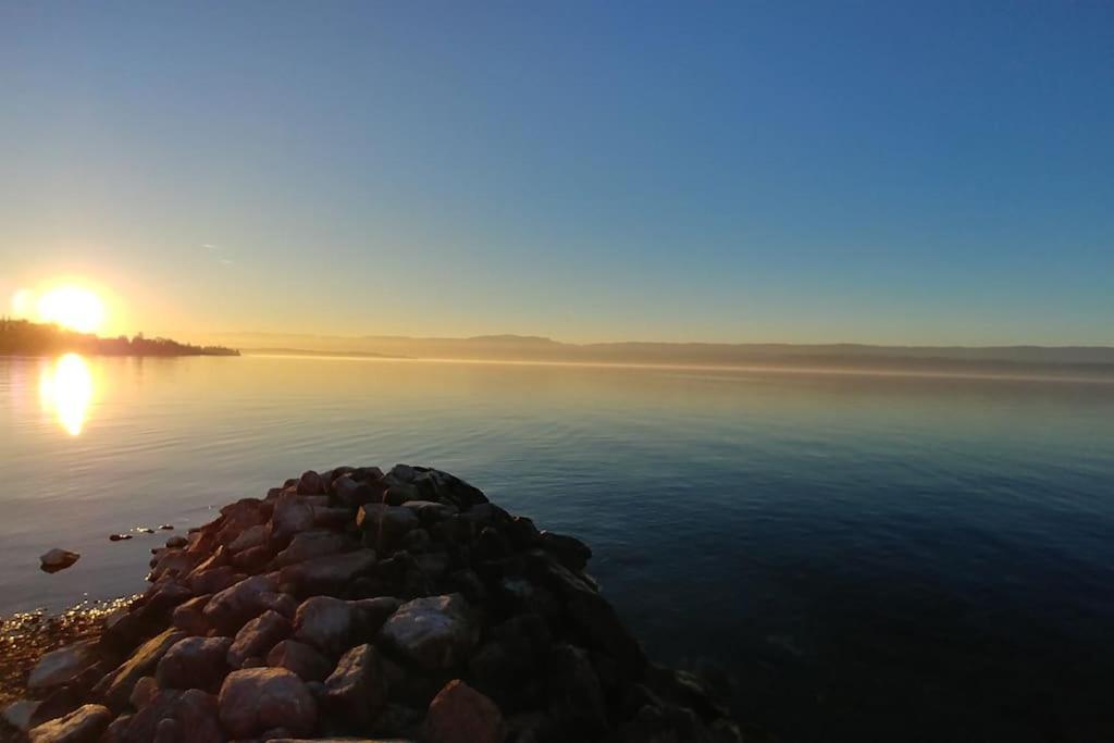 Lakefront. Pieds Dans L'eau. View&direct Access To The Lake. * Anthy-sur-Leman