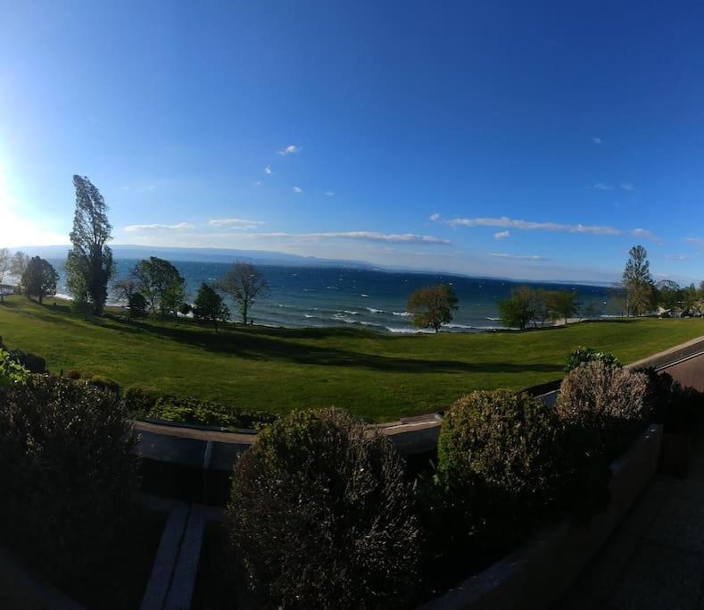Lakefront. Pieds Dans L'eau. View&direct Access To The Lake.
