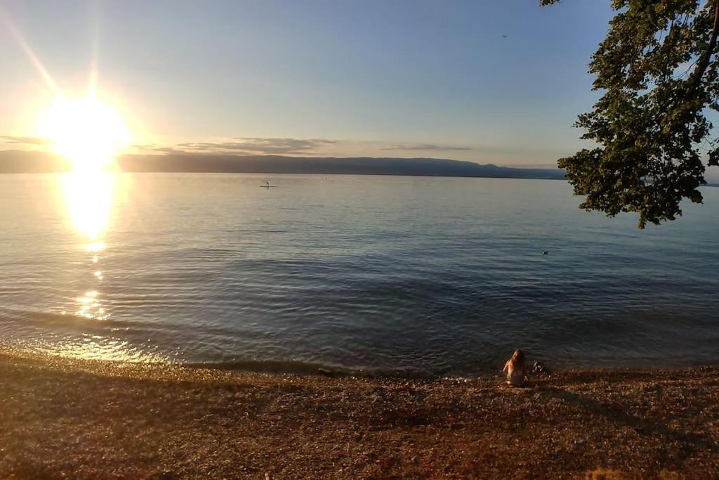 Lakefront. Pieds Dans L'eau. View And Direct Access To The Lake. Apartment