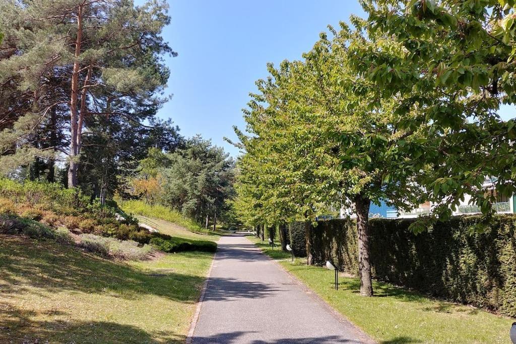 Lakefront. Pieds Dans L'eau. View&direct Access To The Lake. Anthy-sur-Leman