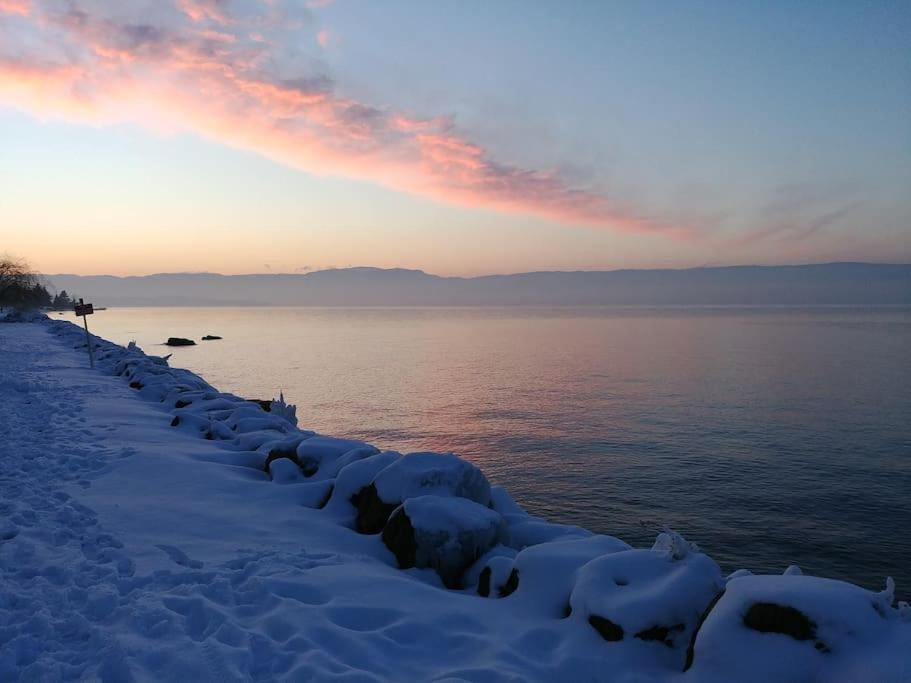 Appartement Lakefront. Pieds Dans L'eau. View&direct Access To The Lake. Anthy-sur-Leman