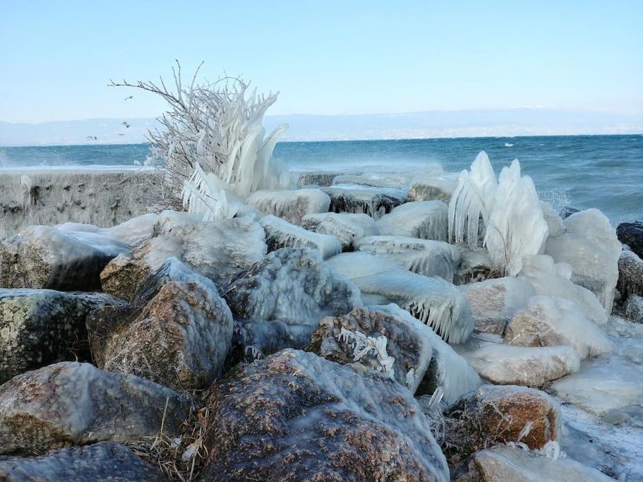 Lakefront. Pieds Dans L'eau. View&direct Access To The Lake. Appartement Anthy-sur-Leman