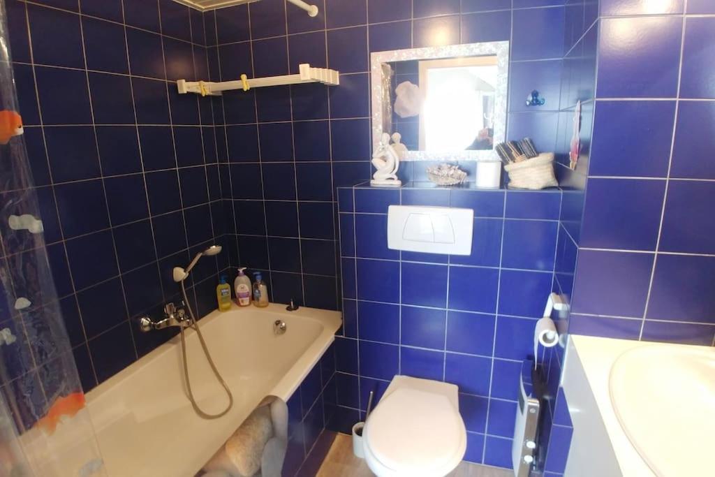 Apartment Lakefront. Pieds Dans L'eau. View And Direct Access To The Lake. Anthy-sur-Leman