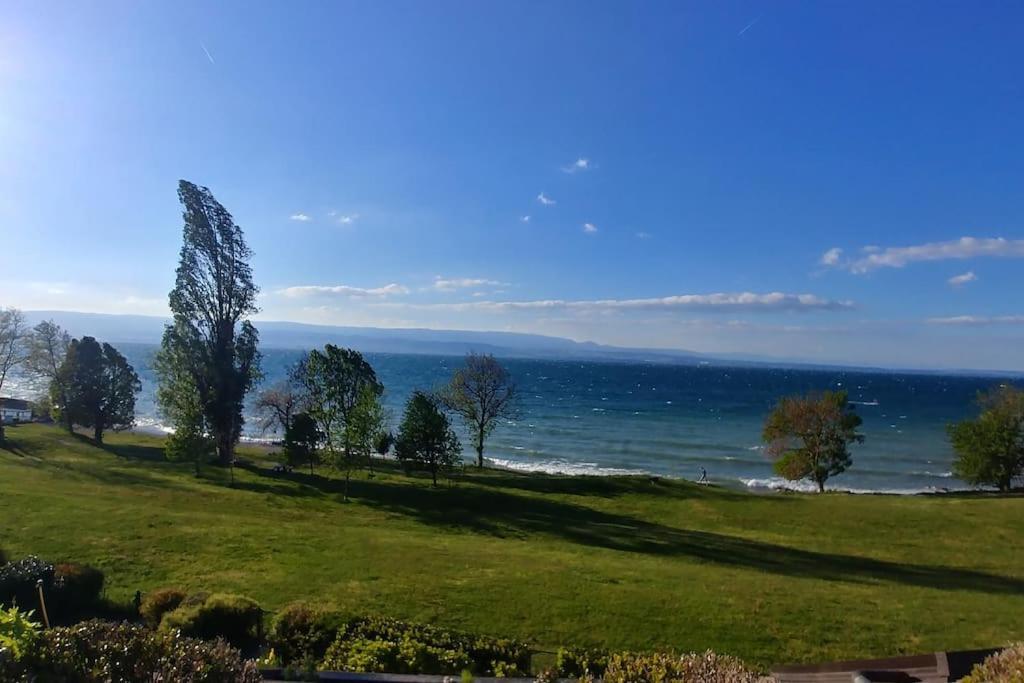 Lakefront. Pieds Dans L'eau. View&direct Access To The Lake. *